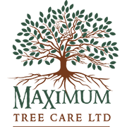 Maximum Tree Care Logo