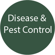 Disease & Pest Control