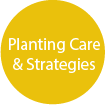 Planting Care & Strategies