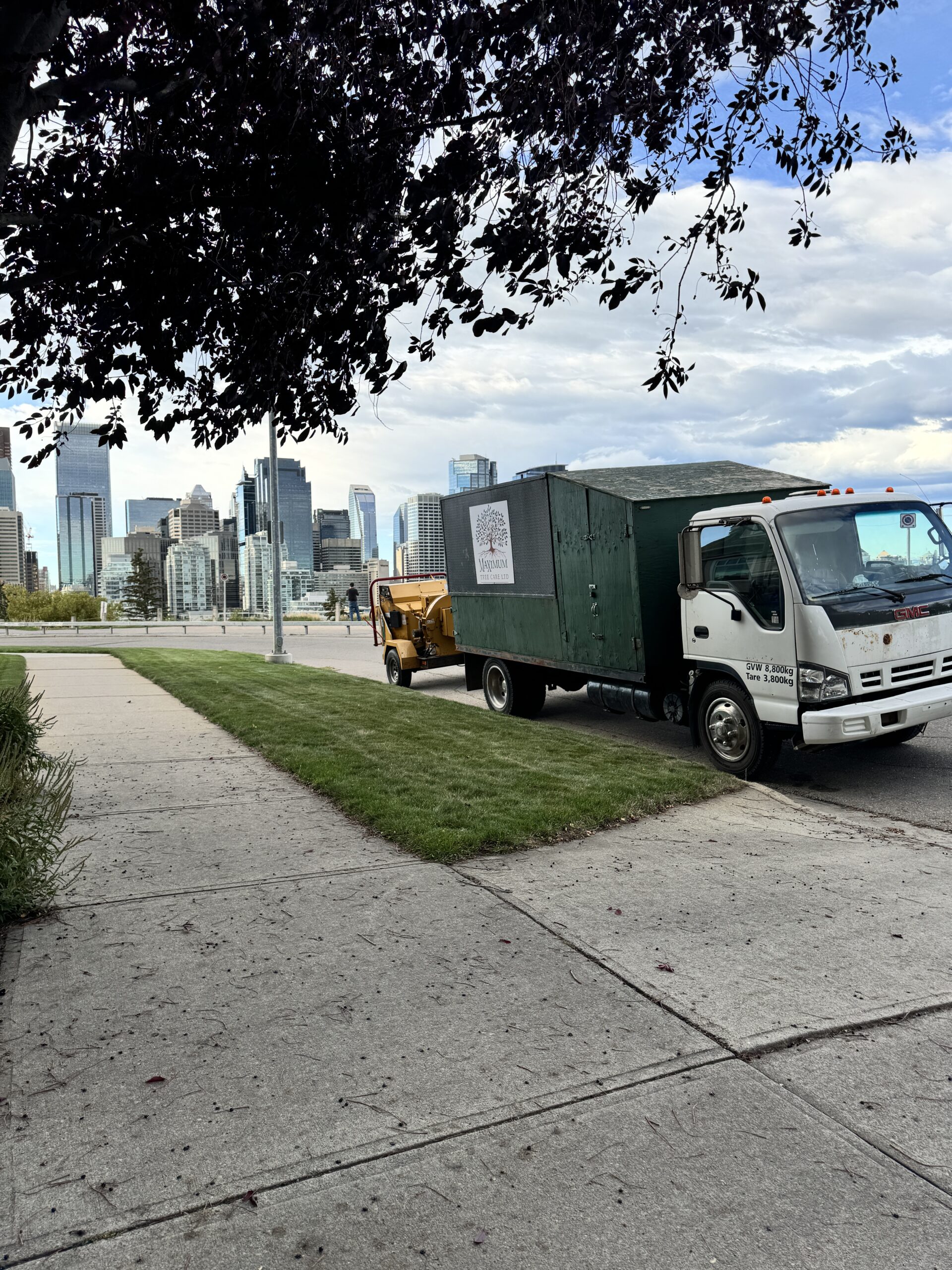Tree service work truck